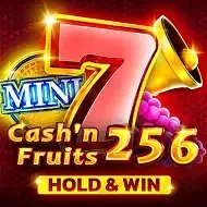 Cash'n Fruits 256 Hold And Win icon